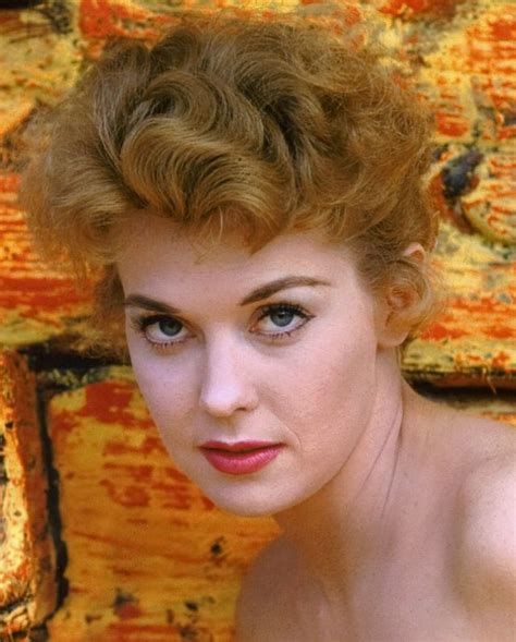 donna douglas in the nude|45 Beautiful Pics of Donna Douglas in the 1950s and '60s.